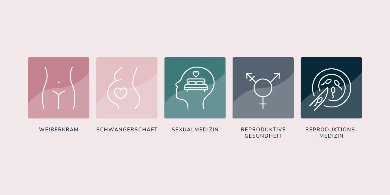 Darstellung der verschiedenen Icons, die für die 5 Themenbereiche Weiberkram, Schwangerschaft, Sexualmedizin, Reproduktive Gesundheit sowie Reproduktionsmedizin stehen.